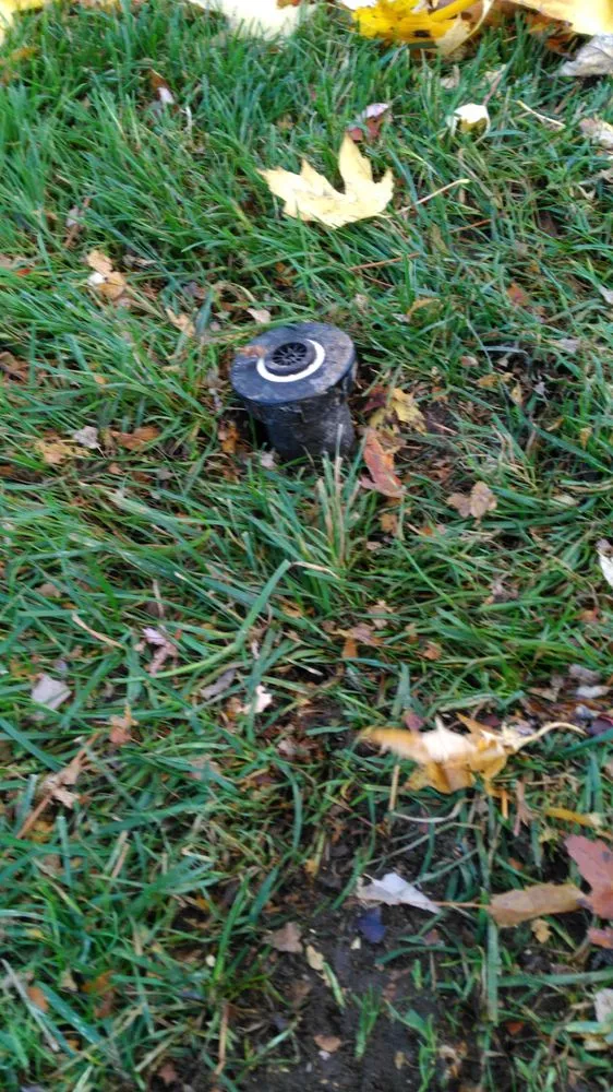 Reliable residential landscaping for homes across Lake Orion, MI - Natural Way Lawn & Tree Service