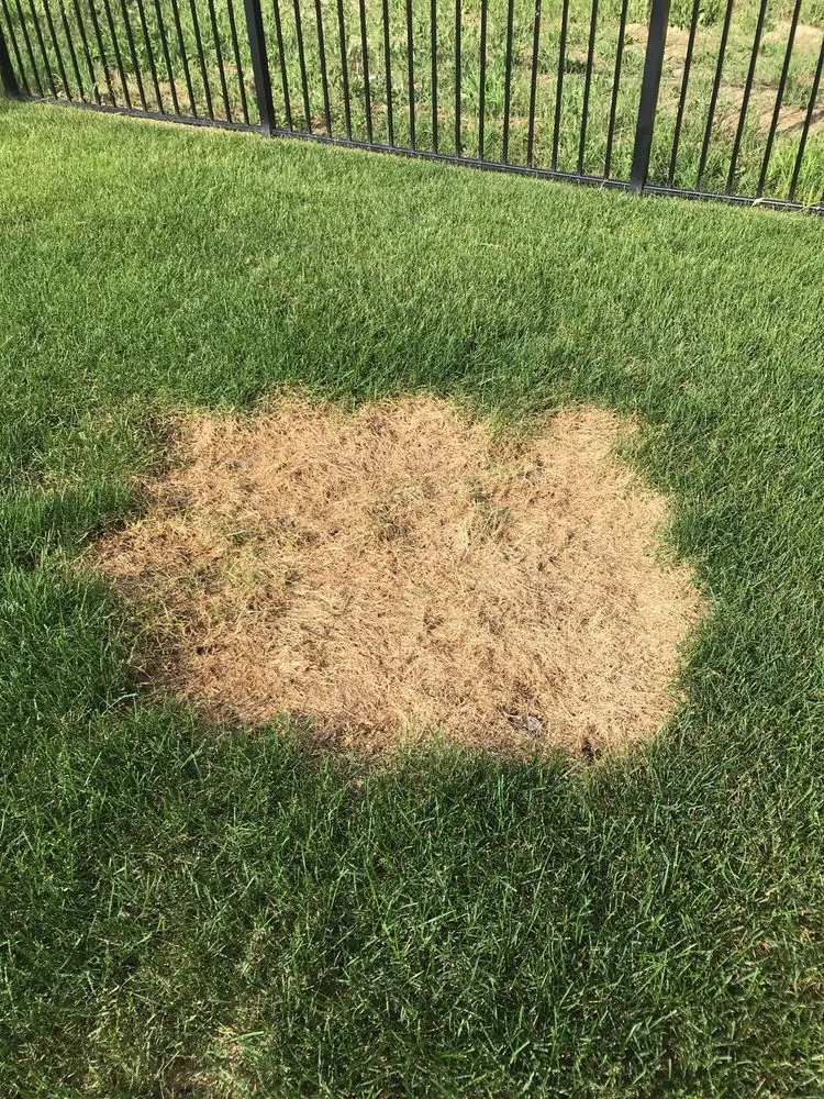 Top-rated landscaping services near you in Lake Orion, MI by Natural Way Lawn & Tree Service