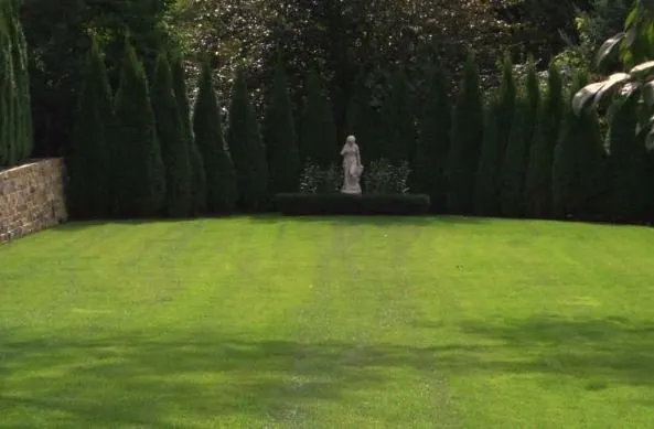 Affordable yard cleanup service in Lake Orion, MI by Natural Way Lawn & Tree Service