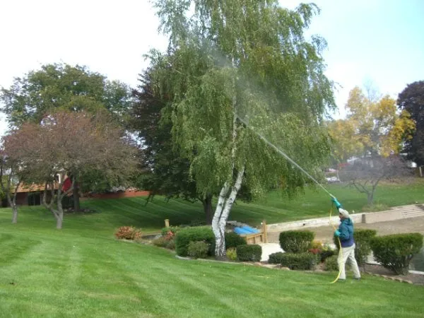 Local landscaping services experts serving Lake Orion, MI - Natural Way Lawn & Tree Service