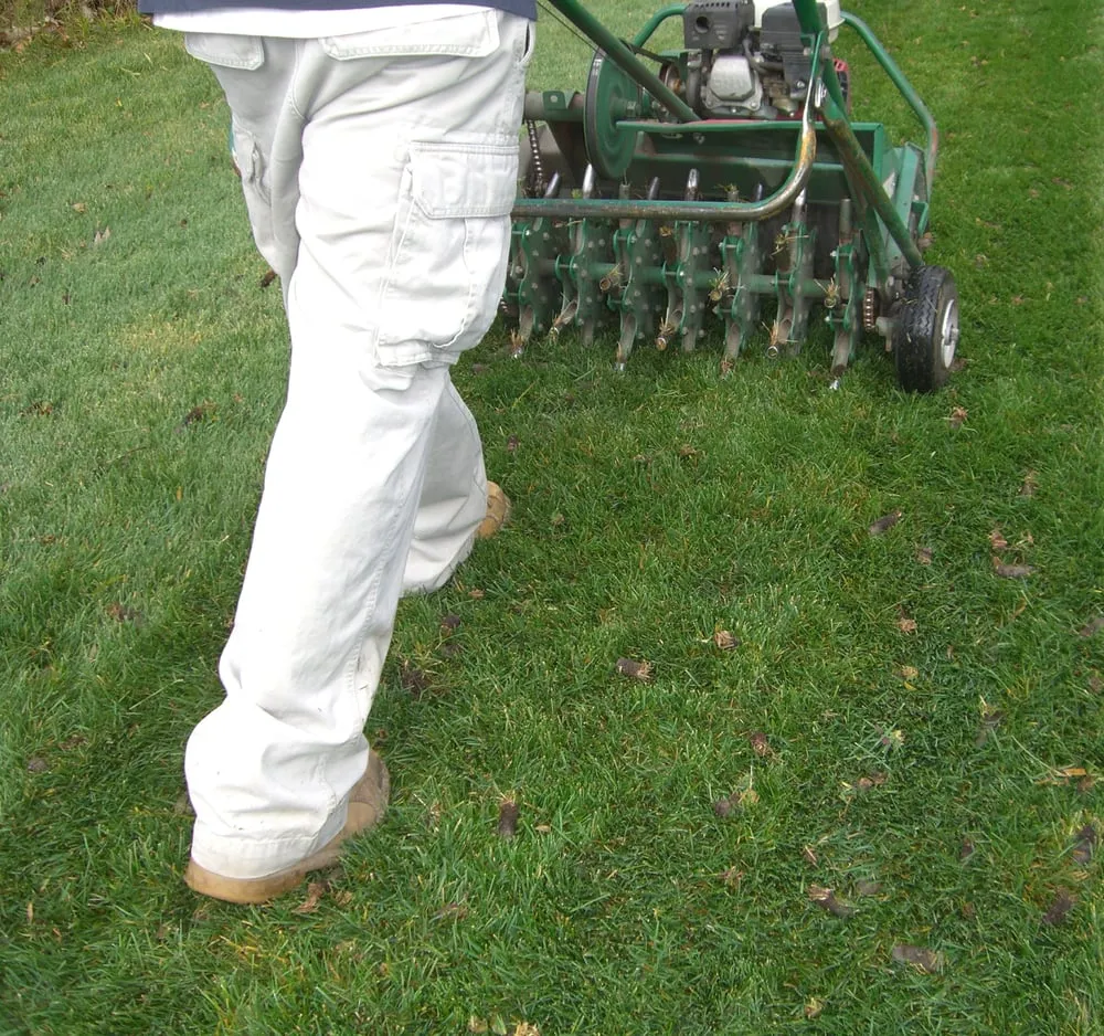 Professional lawn care service in Lake Orion, MI - Natural Way Lawn & Tree Service