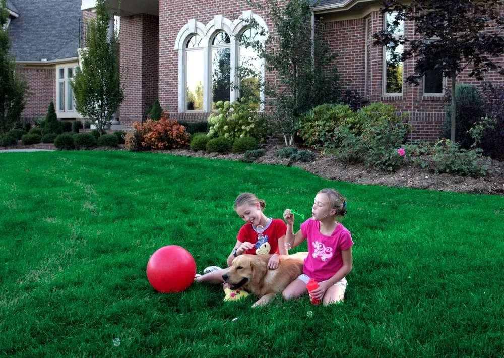 Expert lawn mowing service in Roseville, MI by Natural Way Lawn & Tree Service
