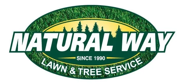 Custom yard cleanup service in Roseville, MI - Natural Way Lawn & Tree Service