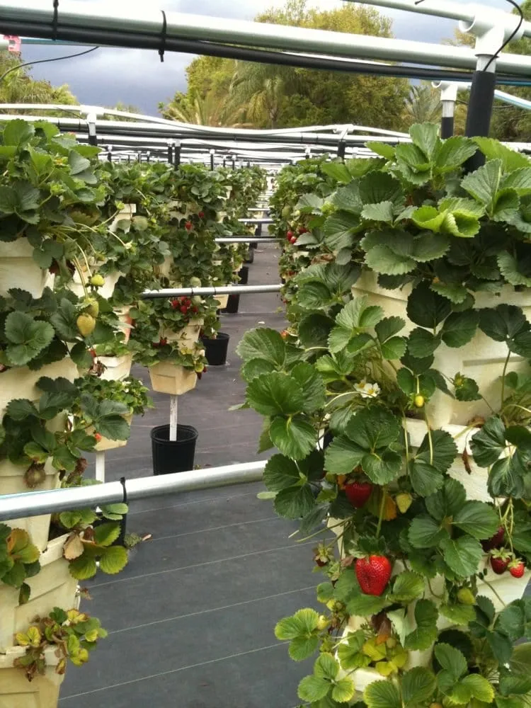 Trusted garden landscaping for outdoor upgrades across Parkland, FL - Natural Wonders Landscaping