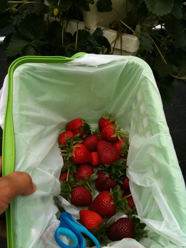 Expert lawn care service experts serving Parkland, FL - Natural Wonders Landscaping