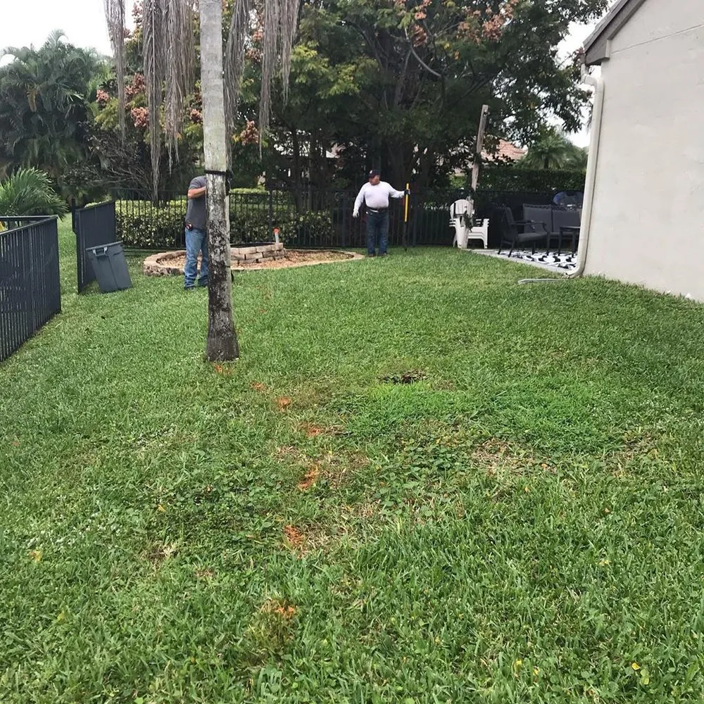 Trusted outdoor landscaping in Parkland, FL by Natural Wonders Landscaping