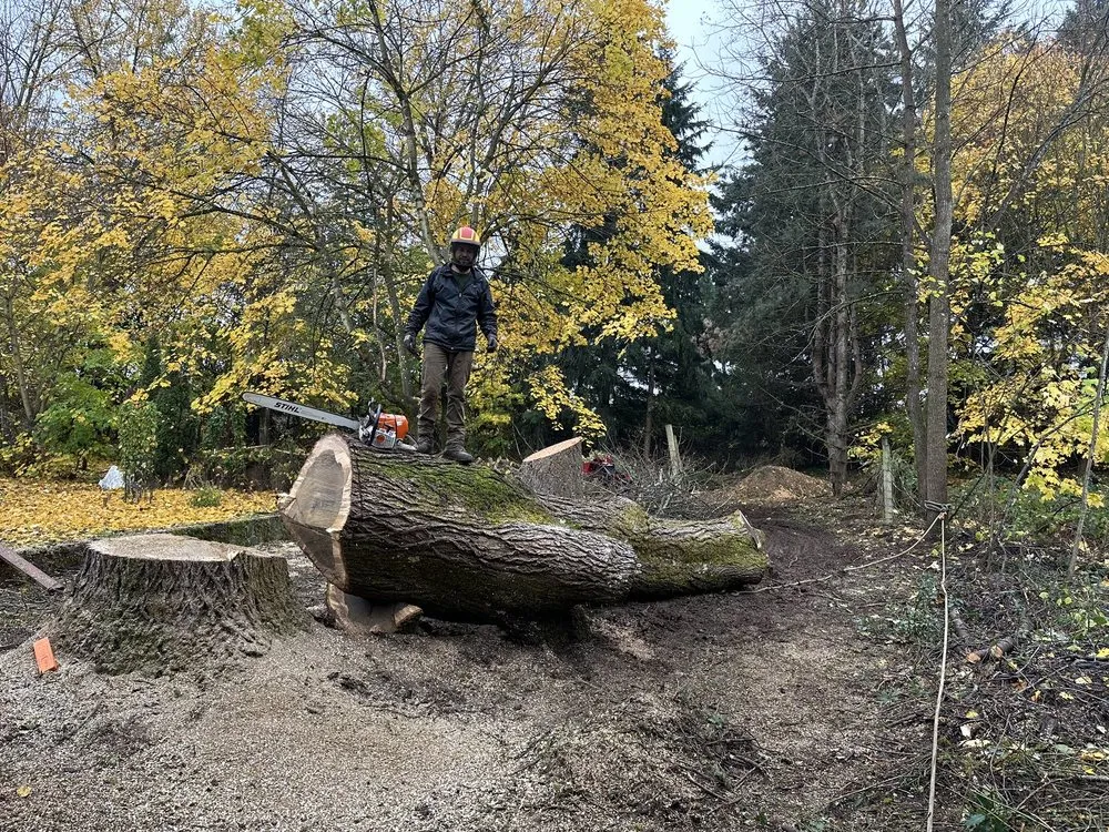 Expert landscape installation experts serving West Linn, OR - Natural Wonders Tree Service