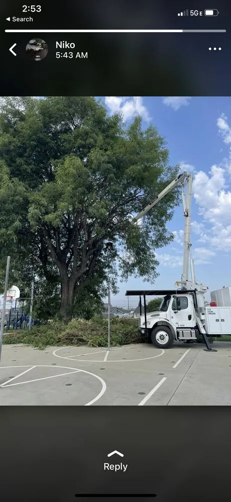 Local yard maintenance for residential properties in West Linn, OR by Natural Wonders Tree Service