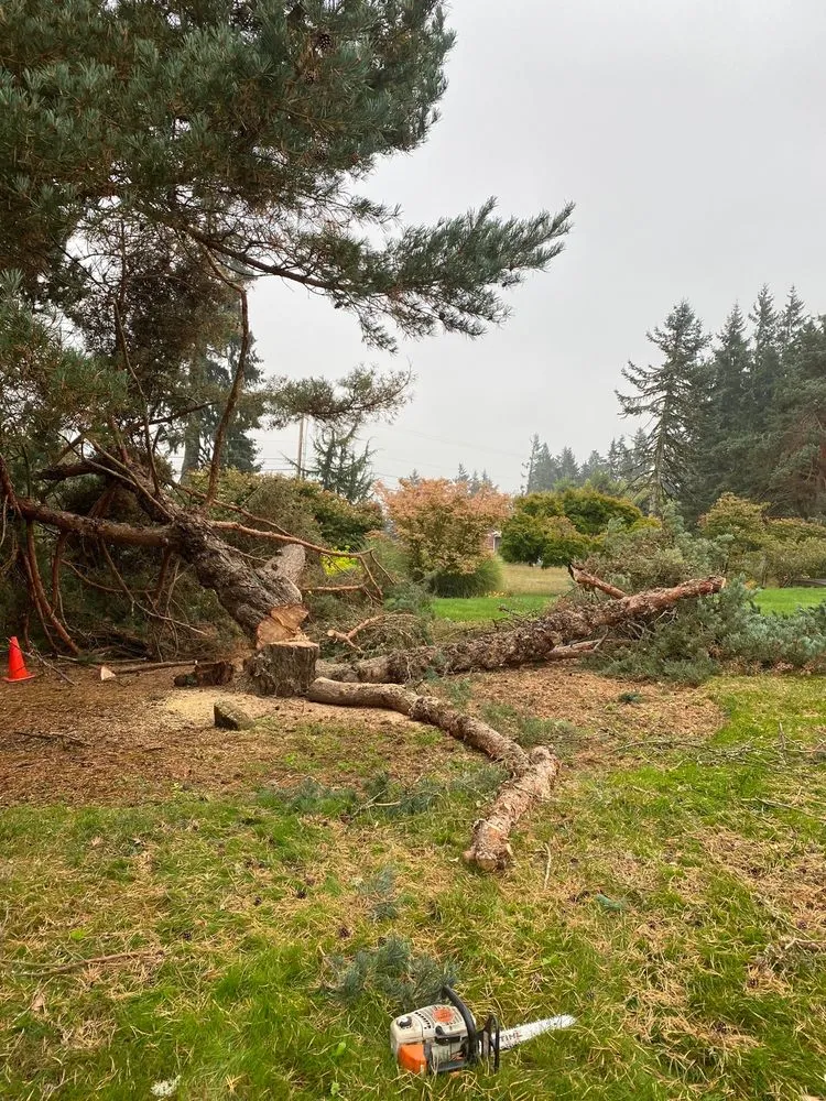 Affordable lawn mowing service for homes in West Linn, OR by Natural Wonders Tree Service