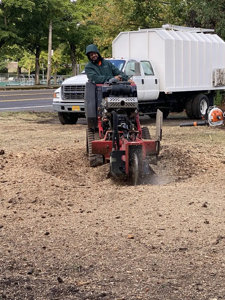 Reliable lawn care service for year-round maintenance in West Linn, OR by Natural Wonders Tree Service