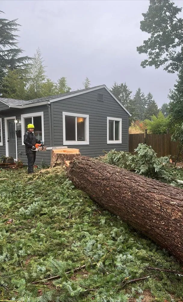 Expert residential landscaping experts serving West Linn, OR - Natural Wonders Tree Service