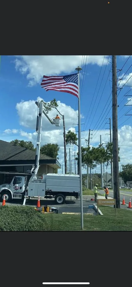 Top-rated residential landscaping in West Linn, OR by Natural Wonders Tree Service