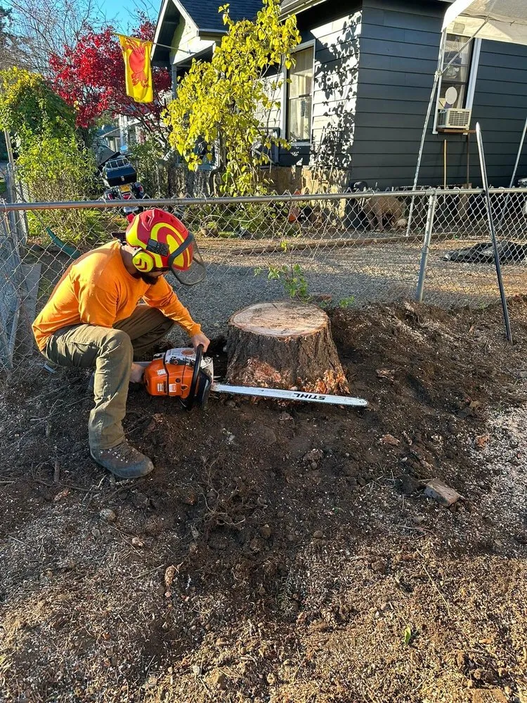 Top-rated outdoor landscaping in West Linn, OR by Natural Wonders Tree Service