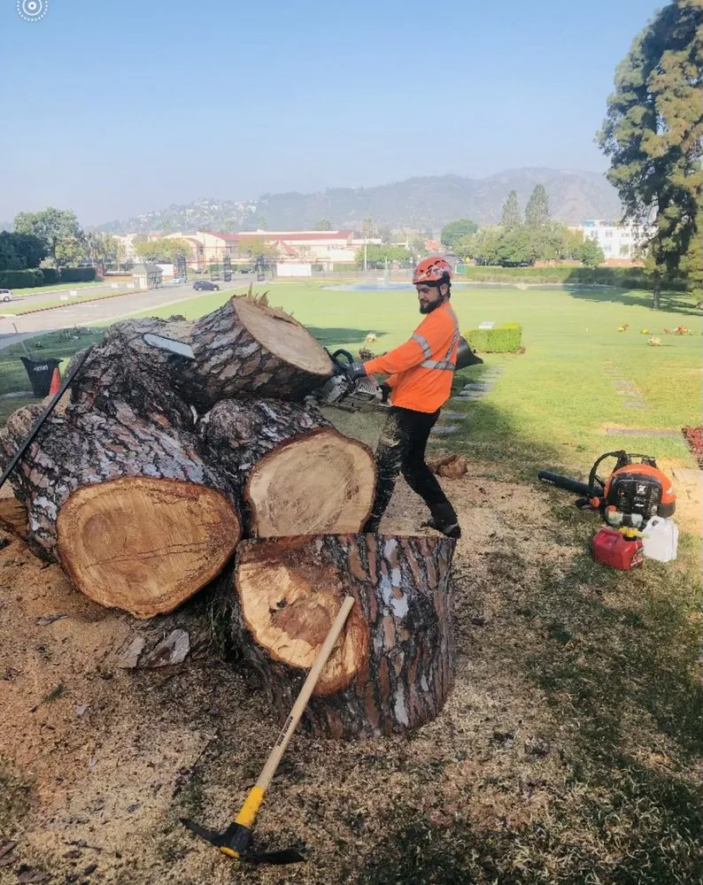 Custom outdoor landscaping for beautiful yards in West Linn, OR by Natural Wonders Tree Service