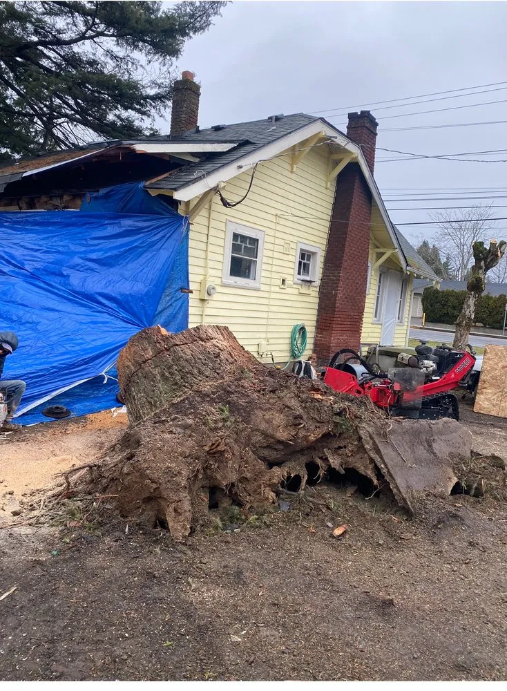 Trusted lawn mowing service in West Linn, OR by Natural Wonders Tree Service