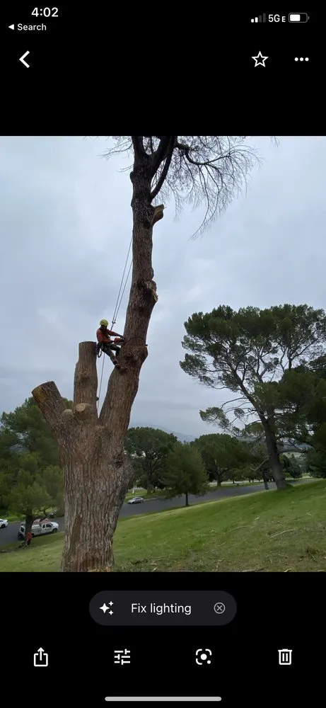 Local lawn care service in West Linn, OR - Natural Wonders Tree Service