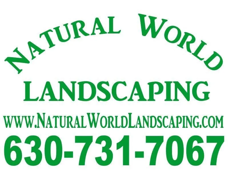 Expert yard cleanup service for residential properties in Oswego, IL by Natural World Landscaping