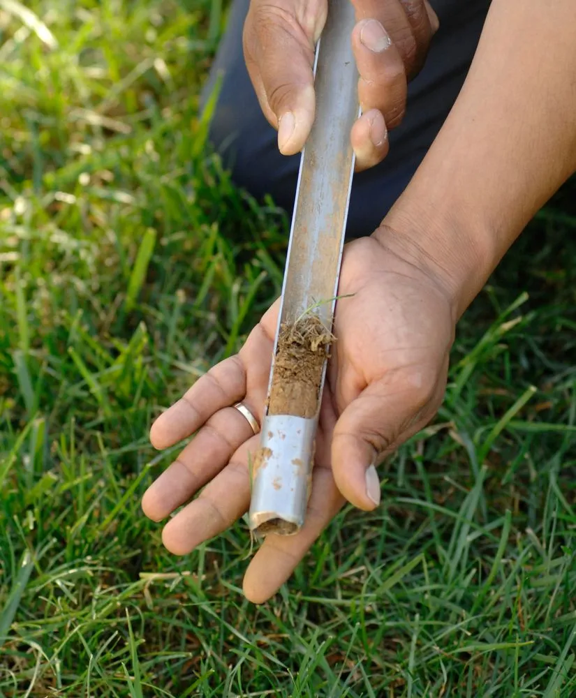 Top-rated yard cleanup service experts serving Bowie, MD - NaturaLawn of America