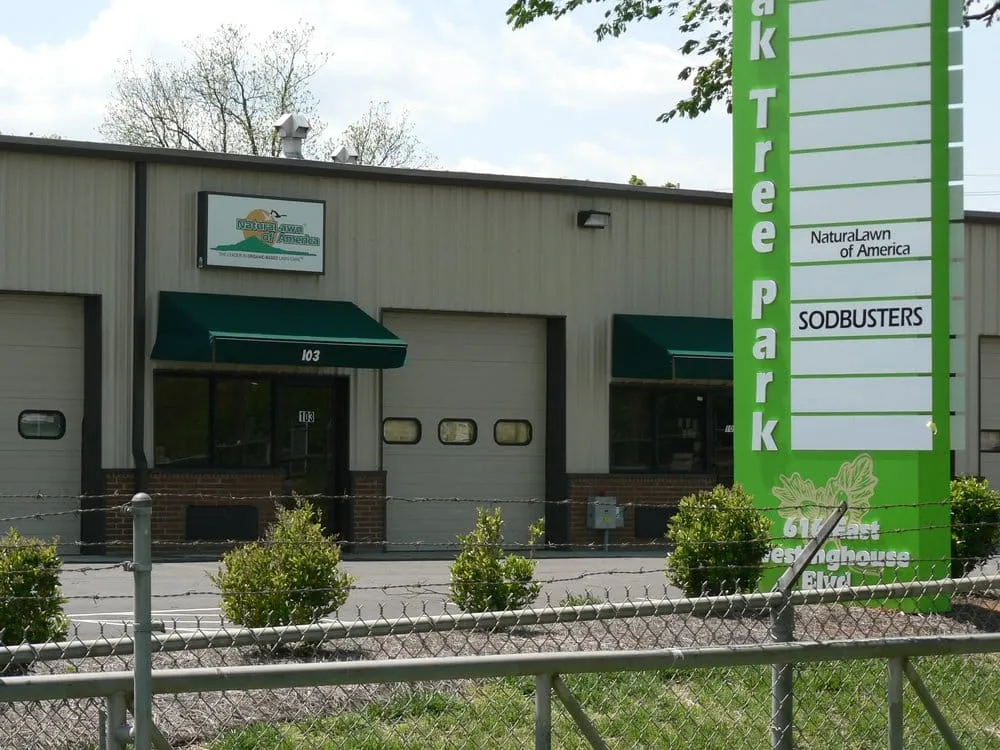 Affordable yard cleanup service in Charlotte, NC - NaturaLawn of America