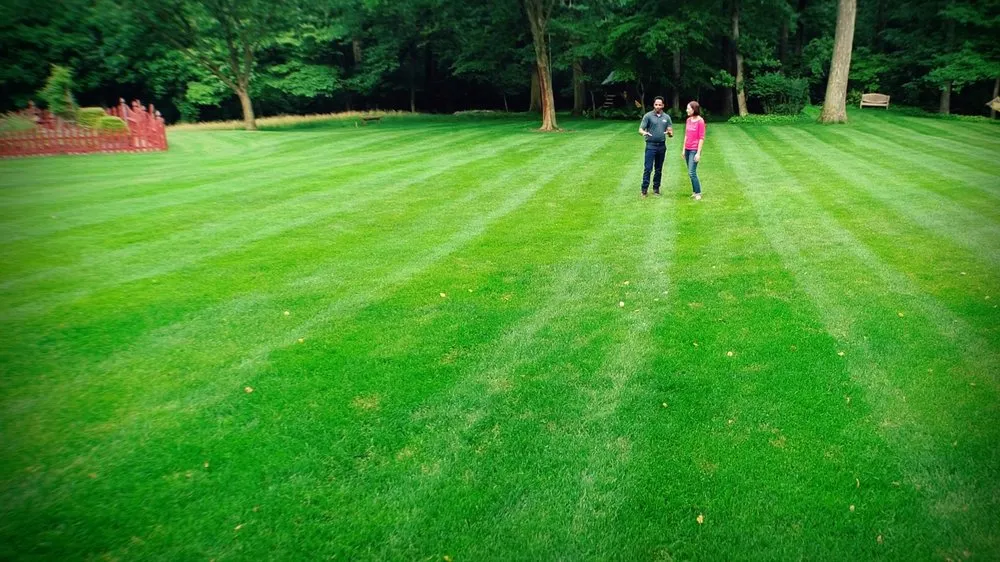 Custom landscaping services for beautiful yards in Cinnaminson, NJ by NaturaLawn of America