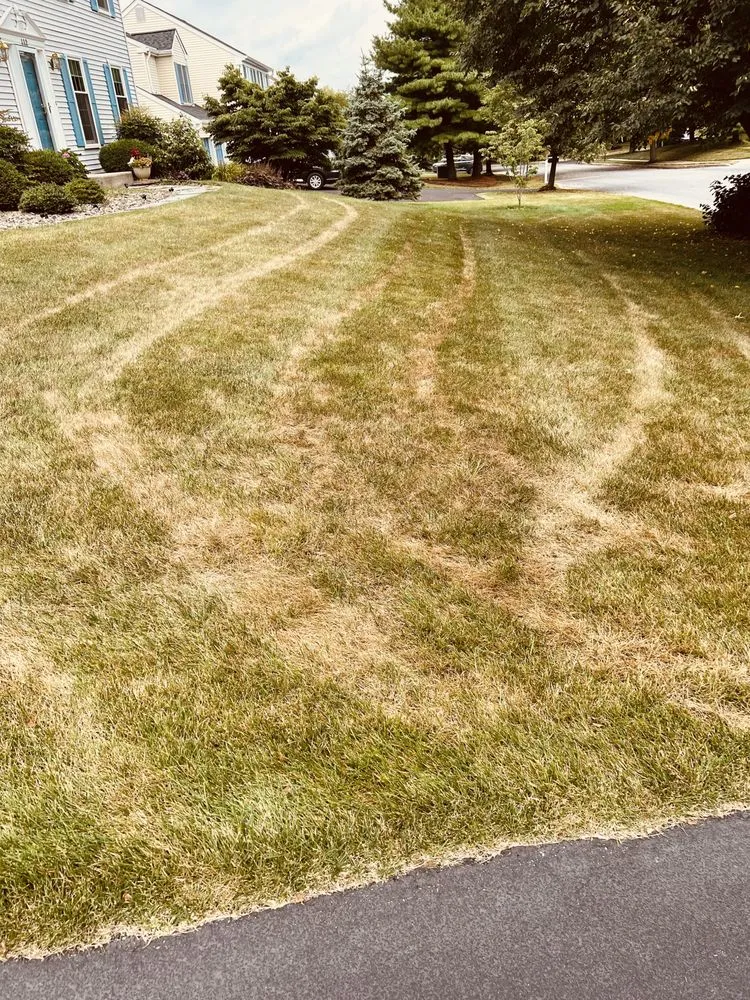 Reliable yard maintenance for outdoor upgrades in Coatesville, PA by NaturaLawn of America