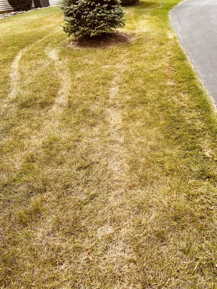 Custom yard cleanup service in Coatesville, PA - NaturaLawn of America