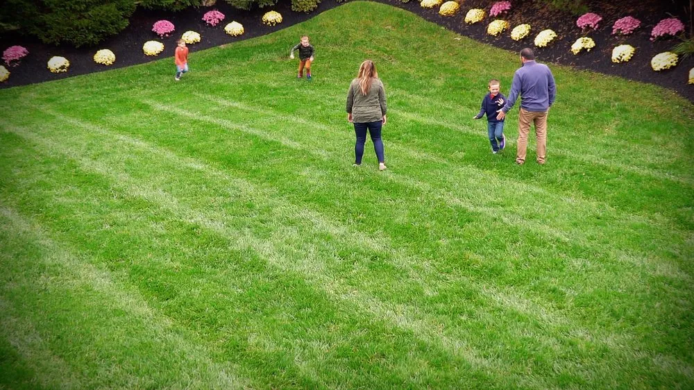 Trusted lawn care service in Coatesville, PA by NaturaLawn of America