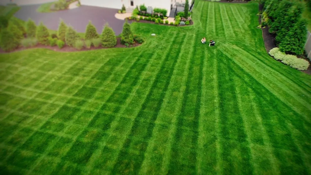 Top-rated yard cleanup service in Coatesville, PA by NaturaLawn of America