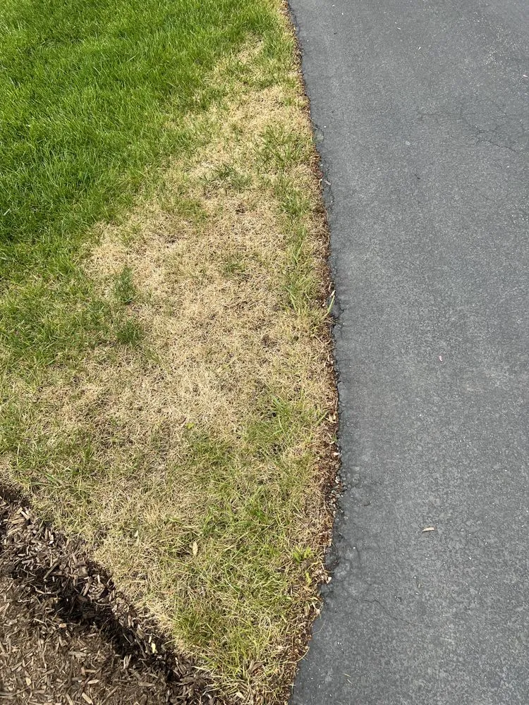 Affordable outdoor landscaping for year-round maintenance across Coatesville, PA - NaturaLawn of America