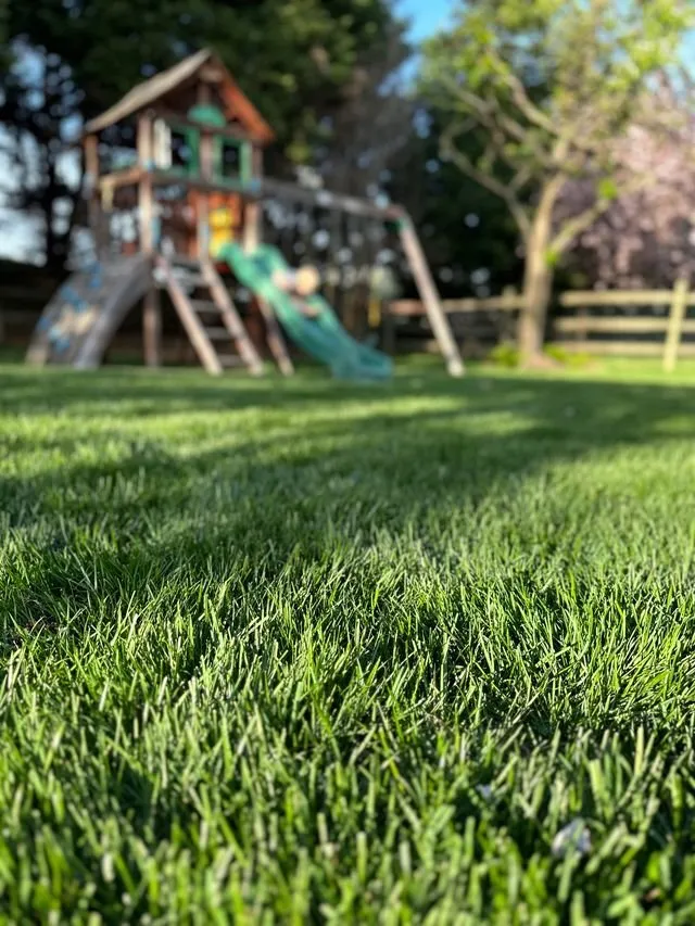 Expert outdoor landscaping in Coraopolis, PA - NaturaLawn of America