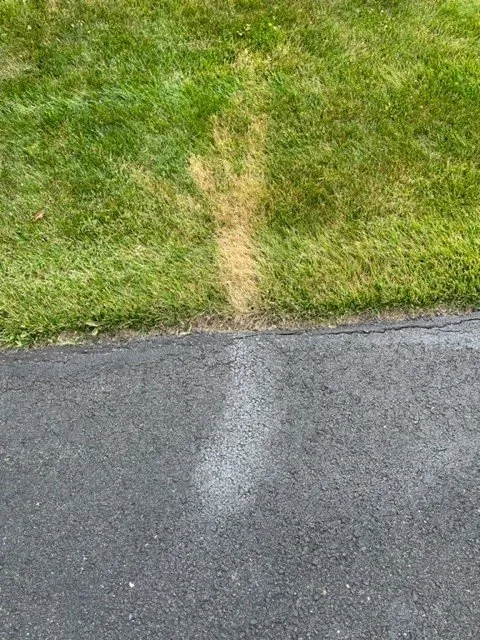 Trusted garden landscaping experts serving Damascus, MD - NaturaLawn of America