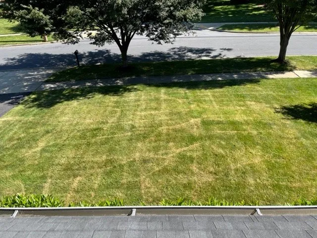 Reliable outdoor landscaping for homes in Damascus, MD by NaturaLawn of America