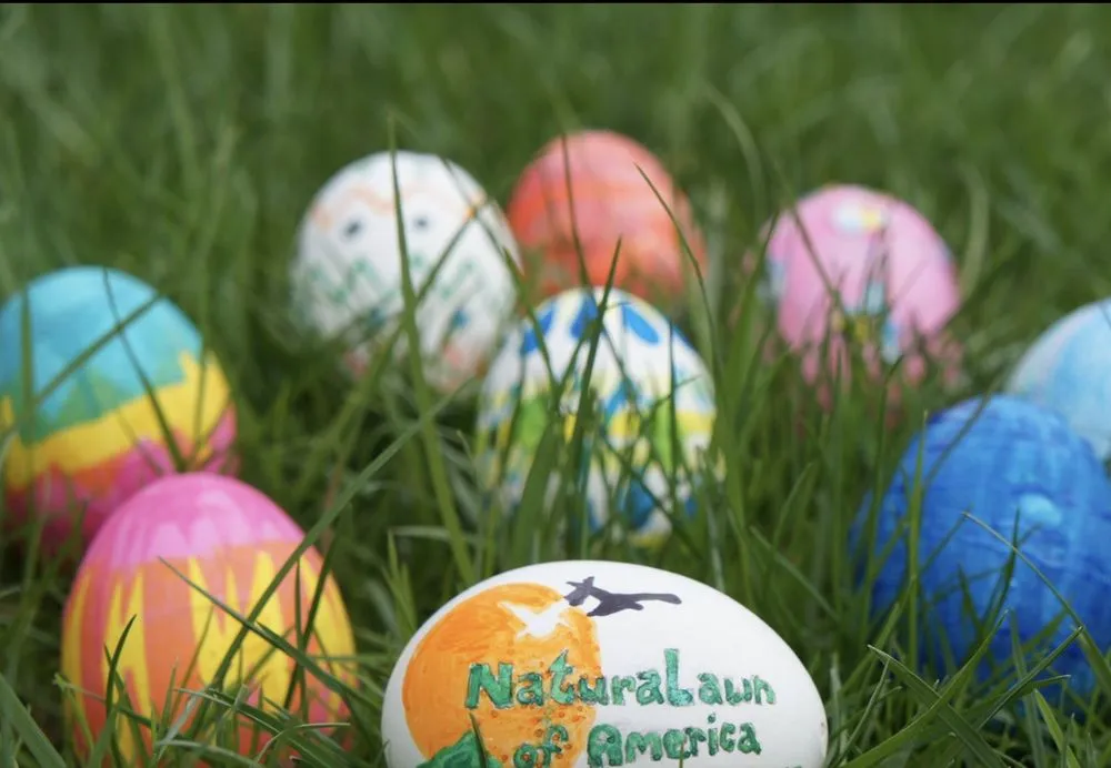 Trusted garden landscaping in East Dundee, IL - NaturaLawn of America