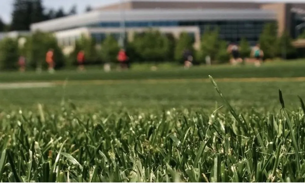 Reliable landscape design in East Dundee, IL by NaturaLawn of America