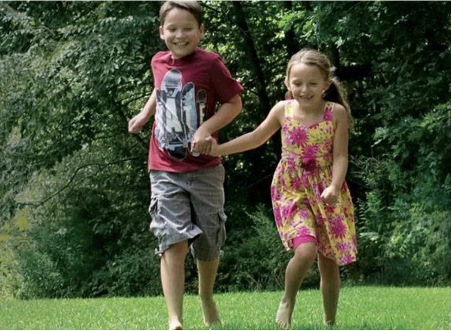 Custom garden landscaping for outdoor upgrades across East Dundee, IL - NaturaLawn of America