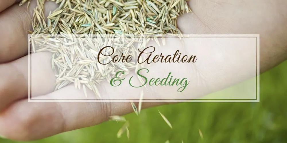 Affordable yard cleanup service in East Dundee, IL - NaturaLawn of America