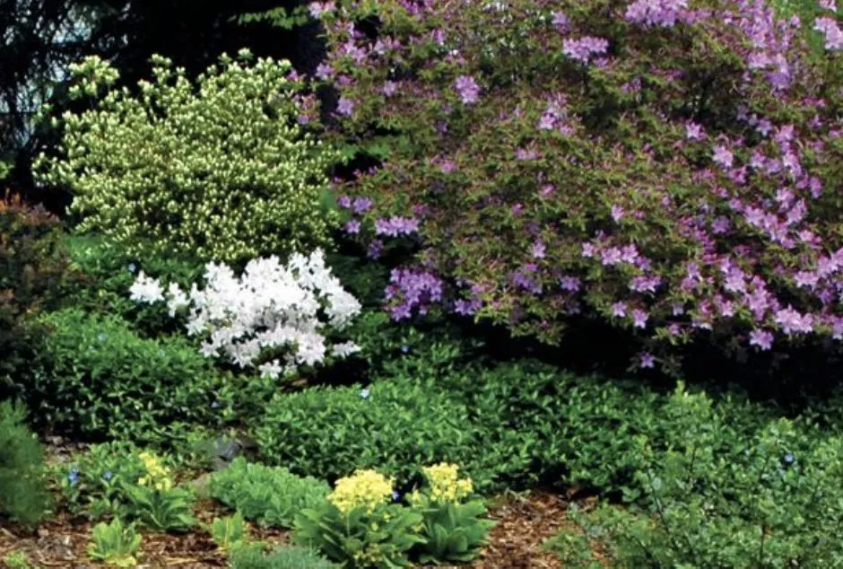 Professional lawn care service for homes in East Dundee, IL by NaturaLawn of America