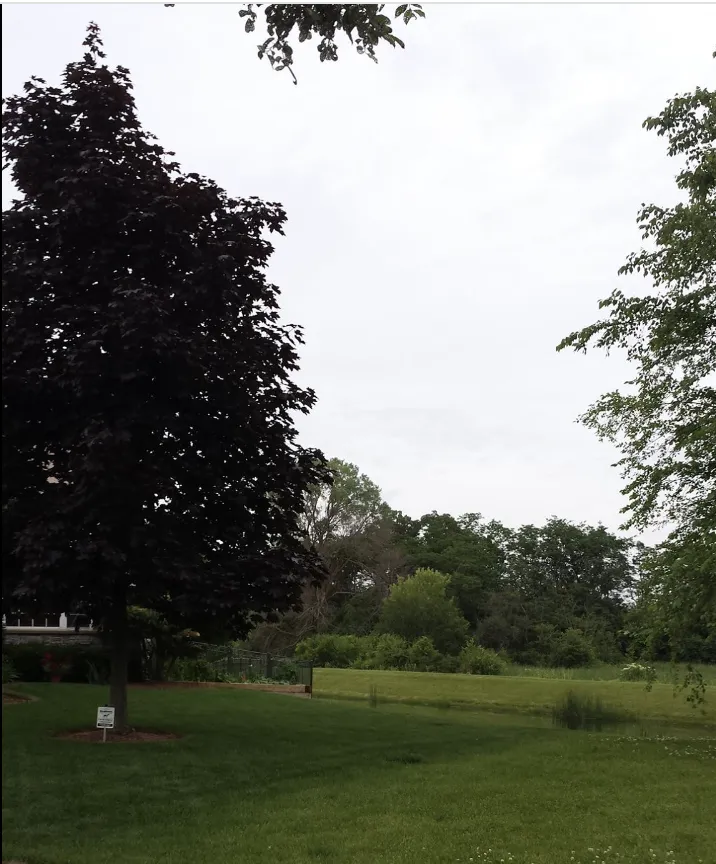 Top-rated yard cleanup service near you across East Dundee, IL - NaturaLawn of America