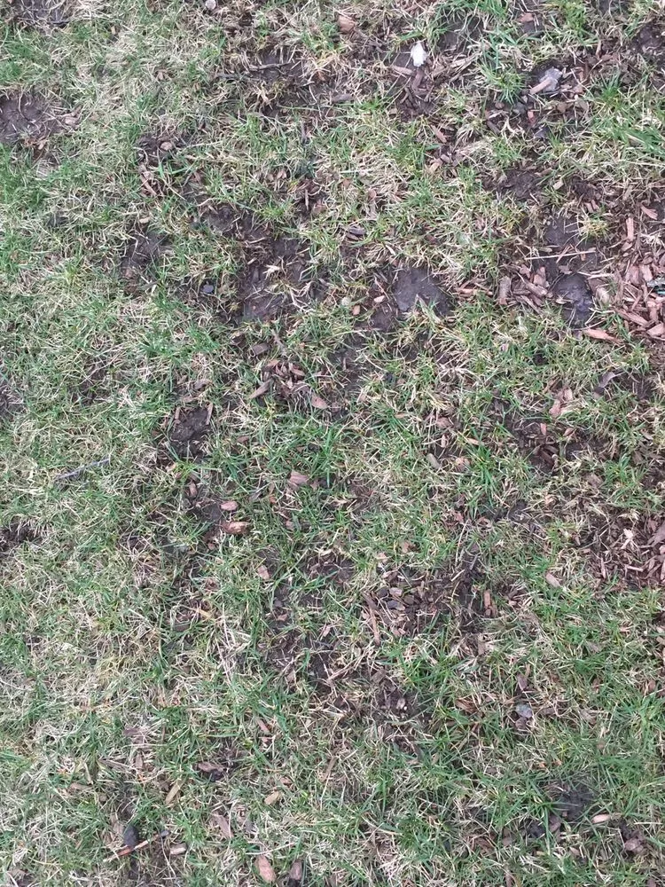 Custom residential landscaping for homes in East Dundee, IL by NaturaLawn of America