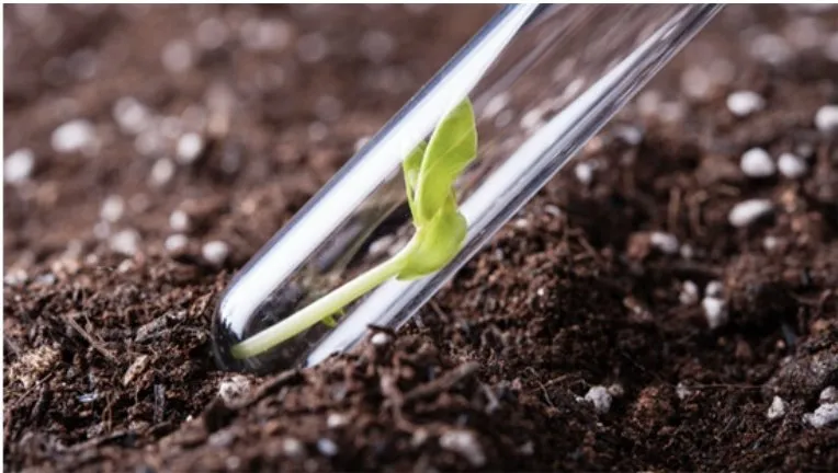 Top-rated lawn mowing service experts serving East Dundee, IL - NaturaLawn of America