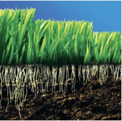 Expert garden landscaping experts serving East Dundee, IL - NaturaLawn of America