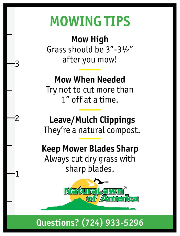 Professional yard maintenance for beautiful yards in Franklin Park, PA by NaturaLawn of America