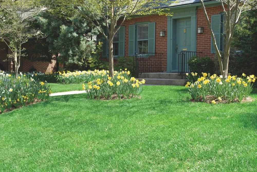 Professional landscape design in Franklin Park, PA - NaturaLawn of America