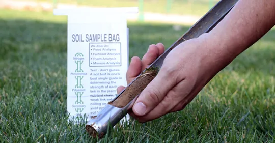 Affordable landscape installation in Franklin Park, PA by NaturaLawn of America