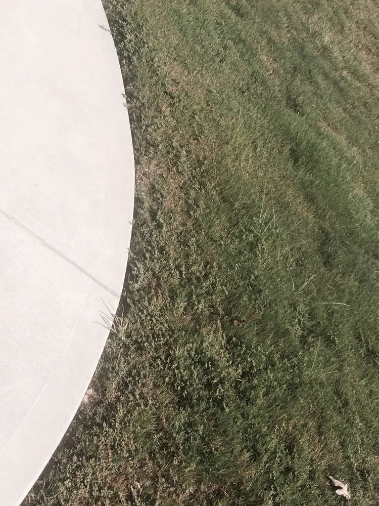 Local yard maintenance in Greenville, SC by NaturaLawn of America