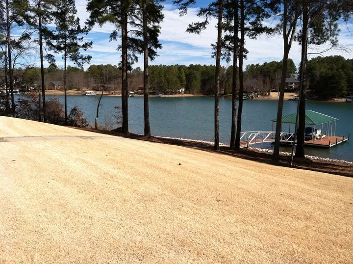 Professional residential landscaping for residential properties in Greenville, SC by NaturaLawn of America