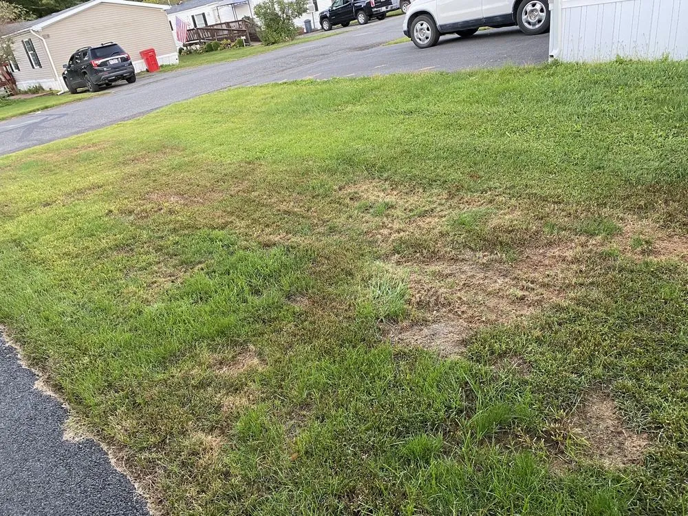 Professional landscape design in Kutztown, PA - NaturaLawn of America