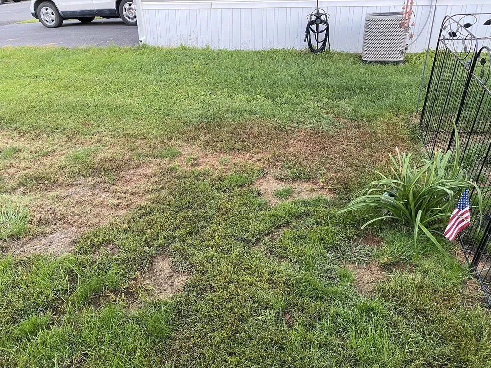 Professional yard maintenance in Kutztown, PA by NaturaLawn of America