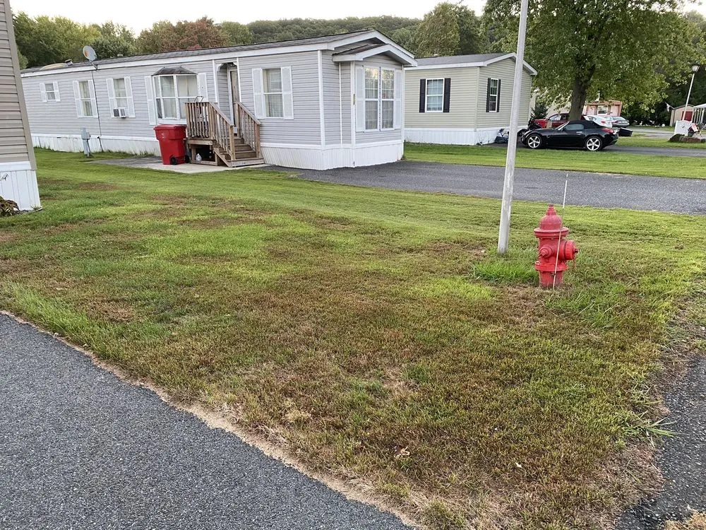 Top-rated landscape design experts serving Kutztown, PA - NaturaLawn of America