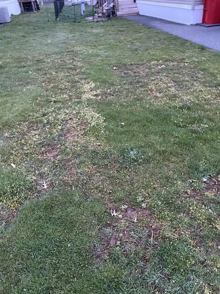 Expert landscape installation in Kutztown, PA - NaturaLawn of America